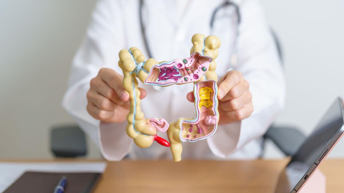 Managing Ulcerative Colitis: Symptoms and Treatment Options